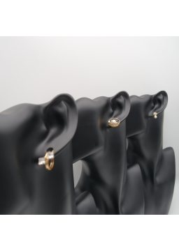 Gold shell ear stud set