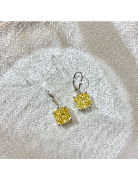 Small square dangle zirconia earrings