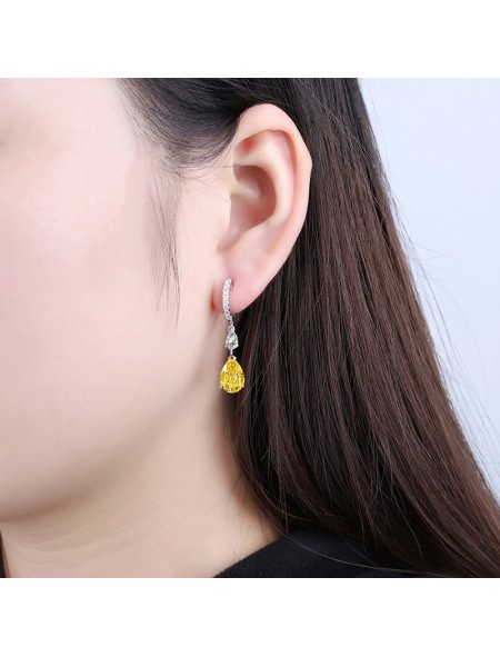 Water drop zircon earrings