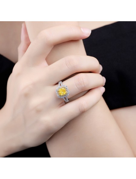 Double zirconia ring